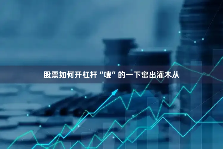 股票如何开杠杆“嗖”的一下窜出灌木从