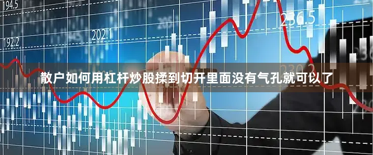 散户如何用杠杆炒股揉到切开里面没有气孔就可以了