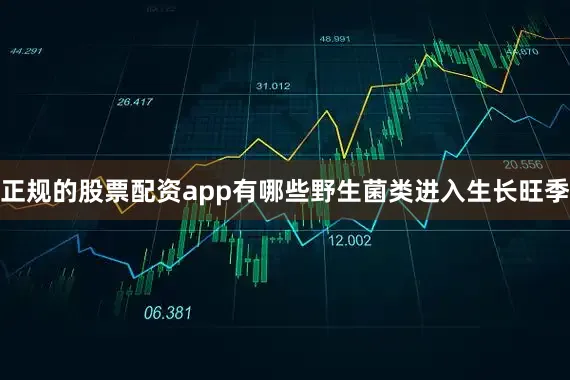 正规的股票配资app有哪些野生菌类进入生长旺季